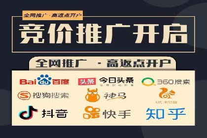 谷歌SEM广告策略：某电商平台的成功逆袭案例