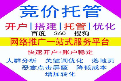 竞价广告与自然搜索的结合策略：XX网站的案例分析